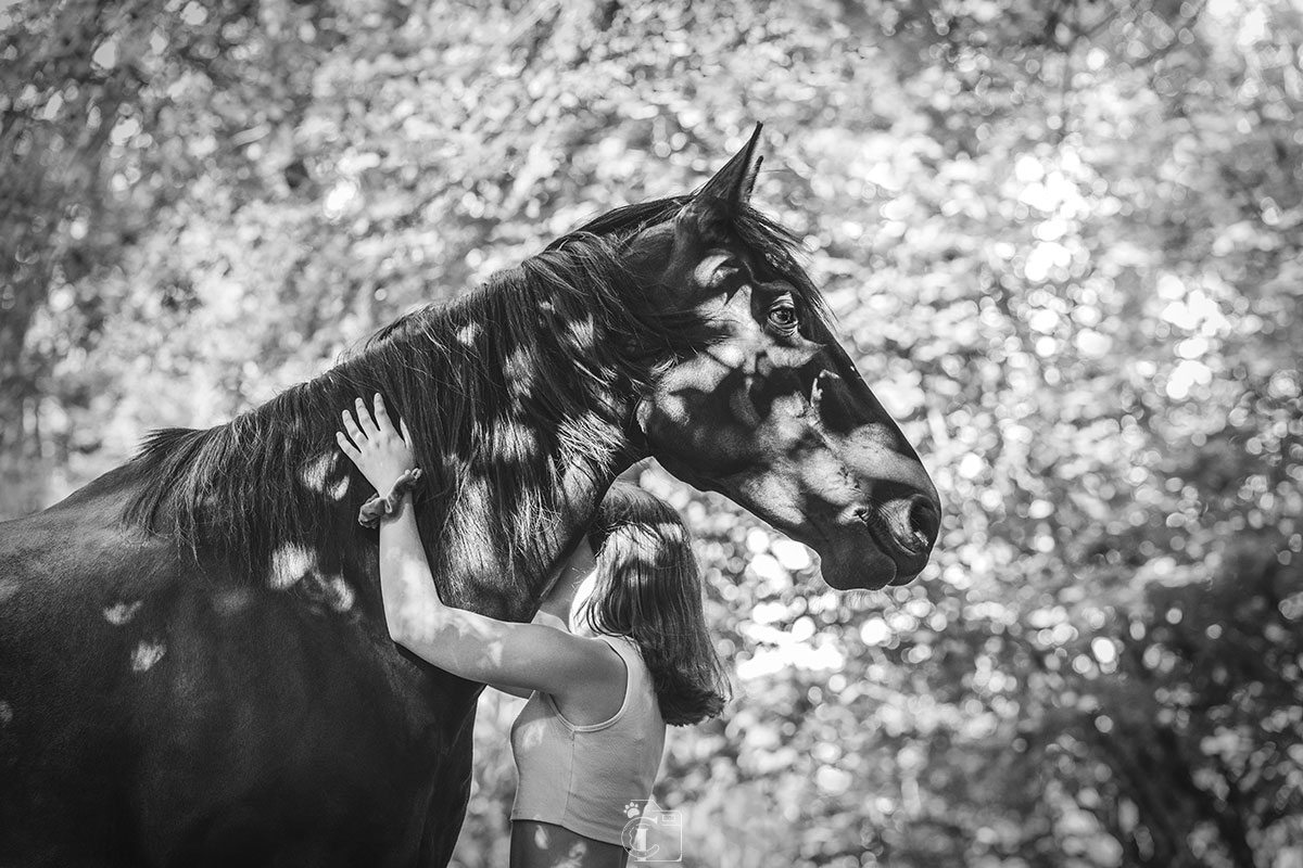 Photo d'une cavalière faisant un câlin a son cheval, de profil en noir et blanc