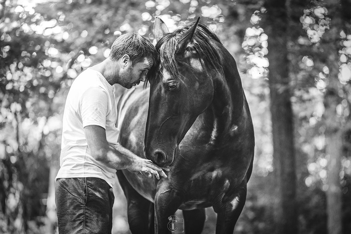 Instant privilégié d'un propriétaire et de son cheval, noir et blanc