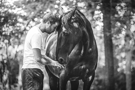 Instant privilégié d'un propriétaire et de son cheval, noir et blanc