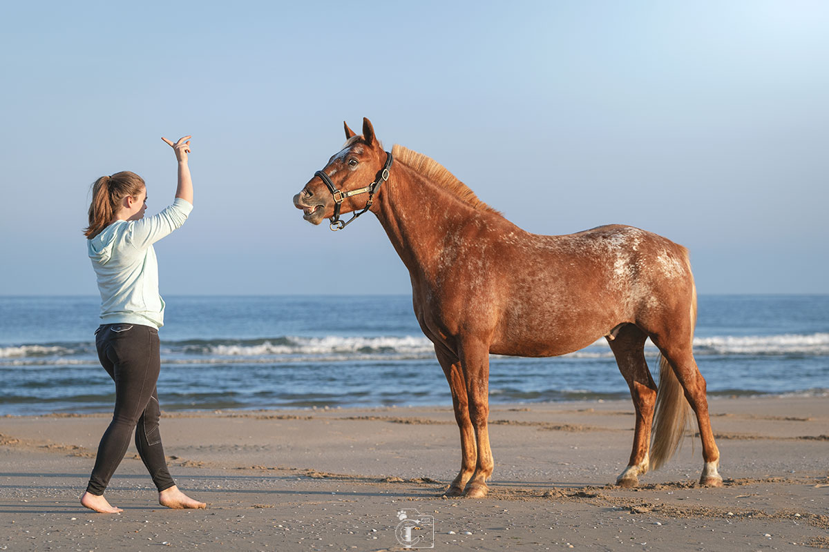 Cavalière faisant des gestes devant son cheval à la plage