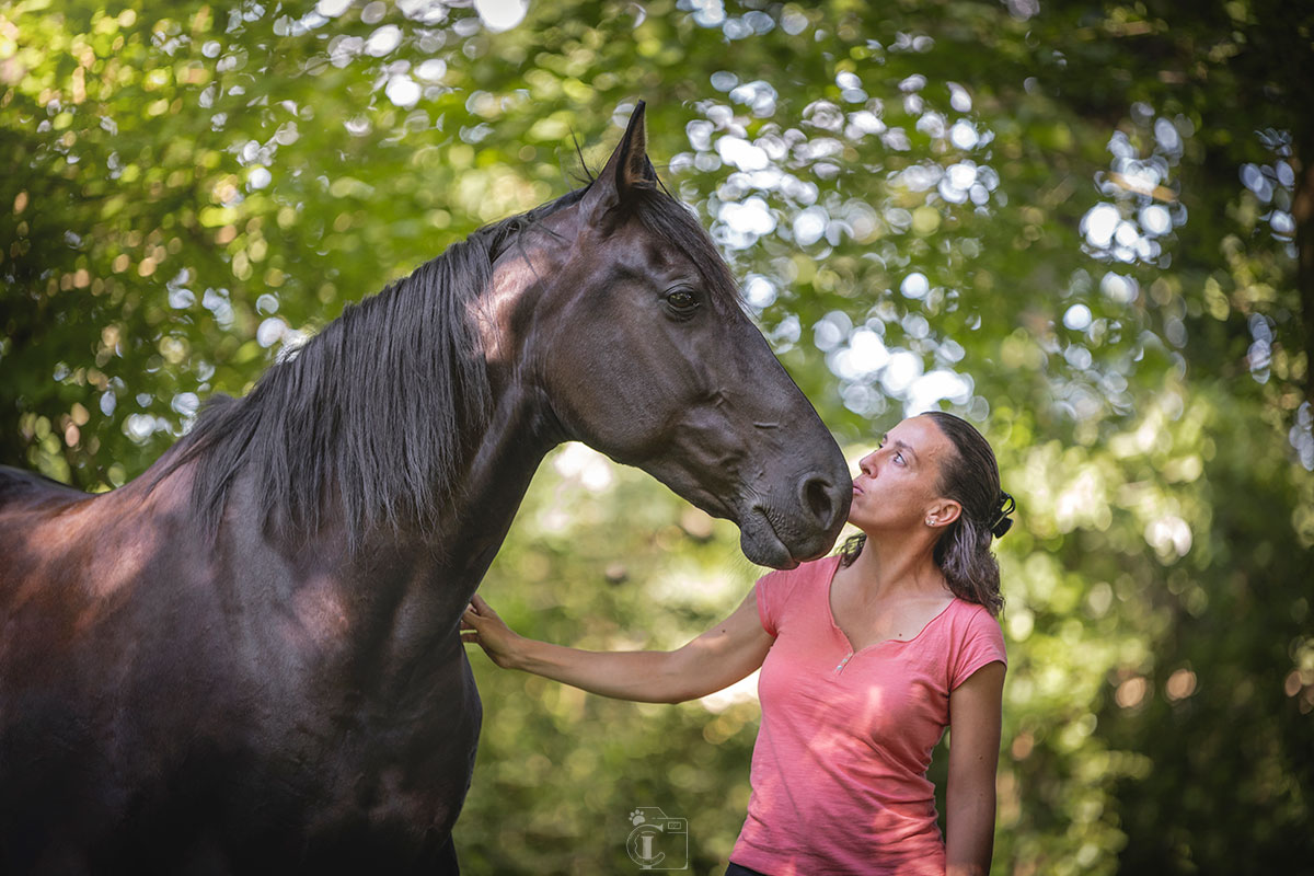 Bisous d'une propriétaire sur le nez de son cheval dans les bois