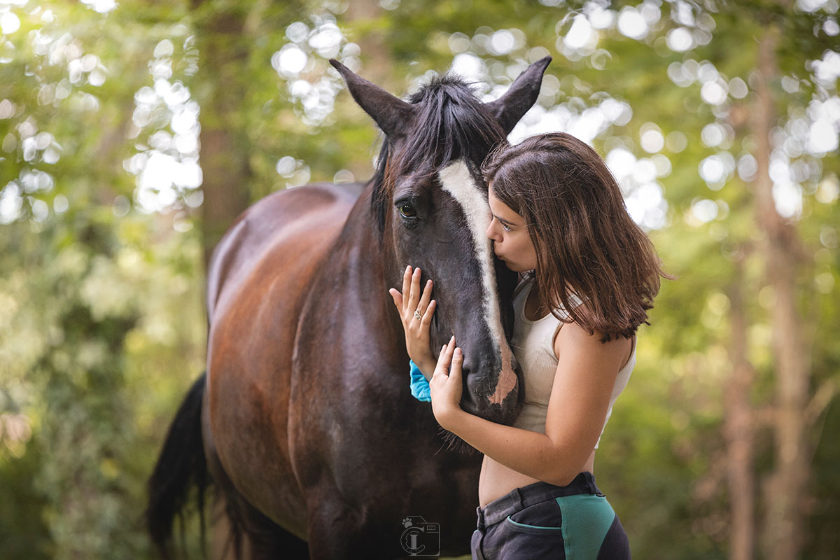 Bisous d'une propriétaire sur le nez de son cheval dans les bois