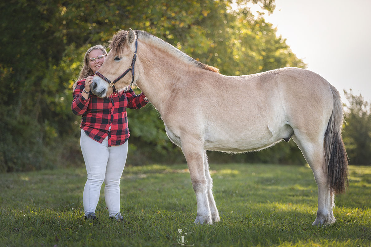 cavalière a côté de son cheval fjord dans un pré