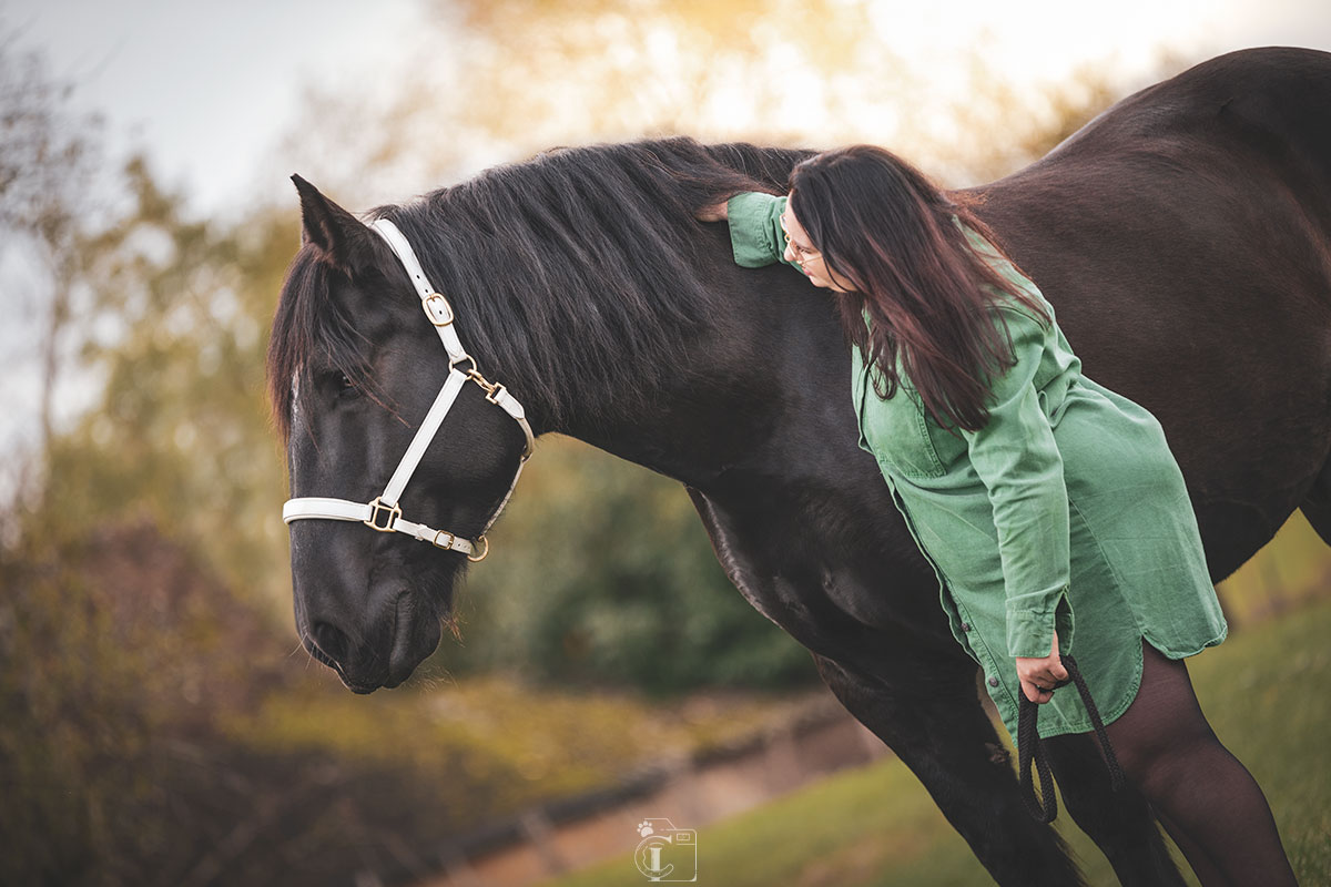 Cavalière en robe verte sur son cheval arabe dans un champ de colza