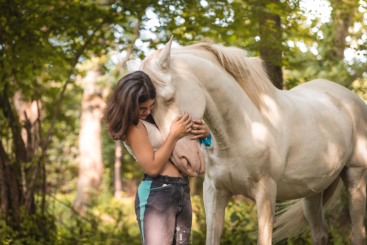 Une cavalière fais un câlin à son cheval tête contre tête