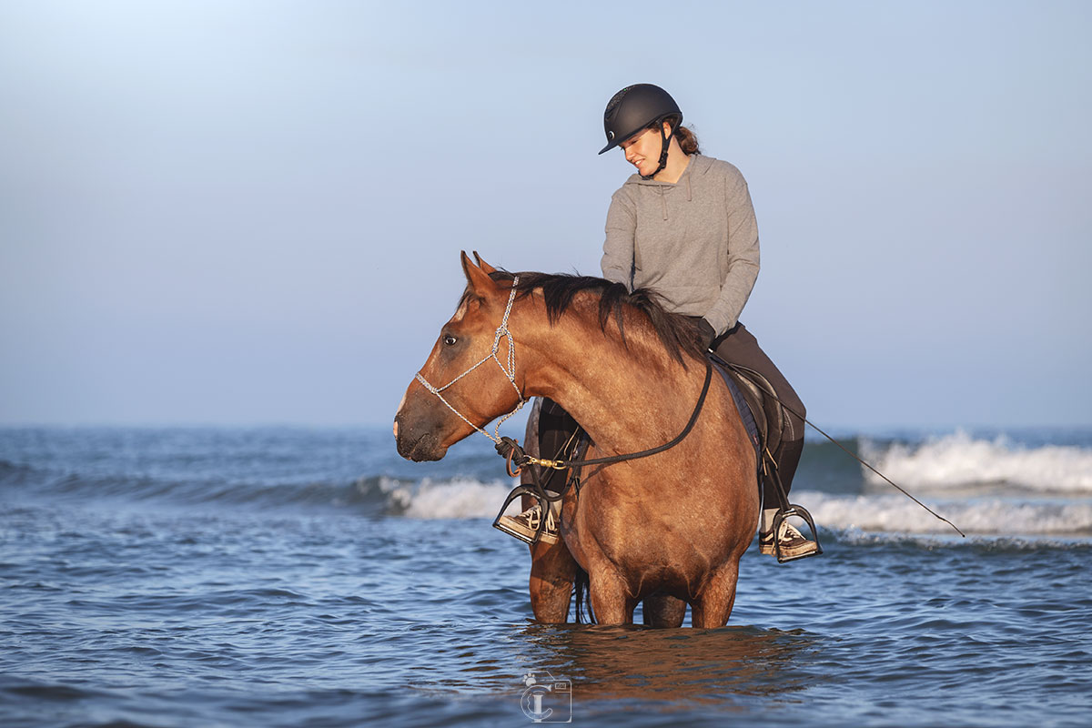 Cavalière et son cheval dans la mer à Deauville