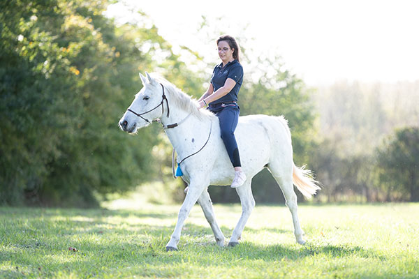 Cavalière a cru sur son cheval gris dans un pré non retouchée