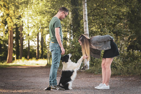 Couple et leur laika de yakouti qui fait le beau en direction de sa maitresse