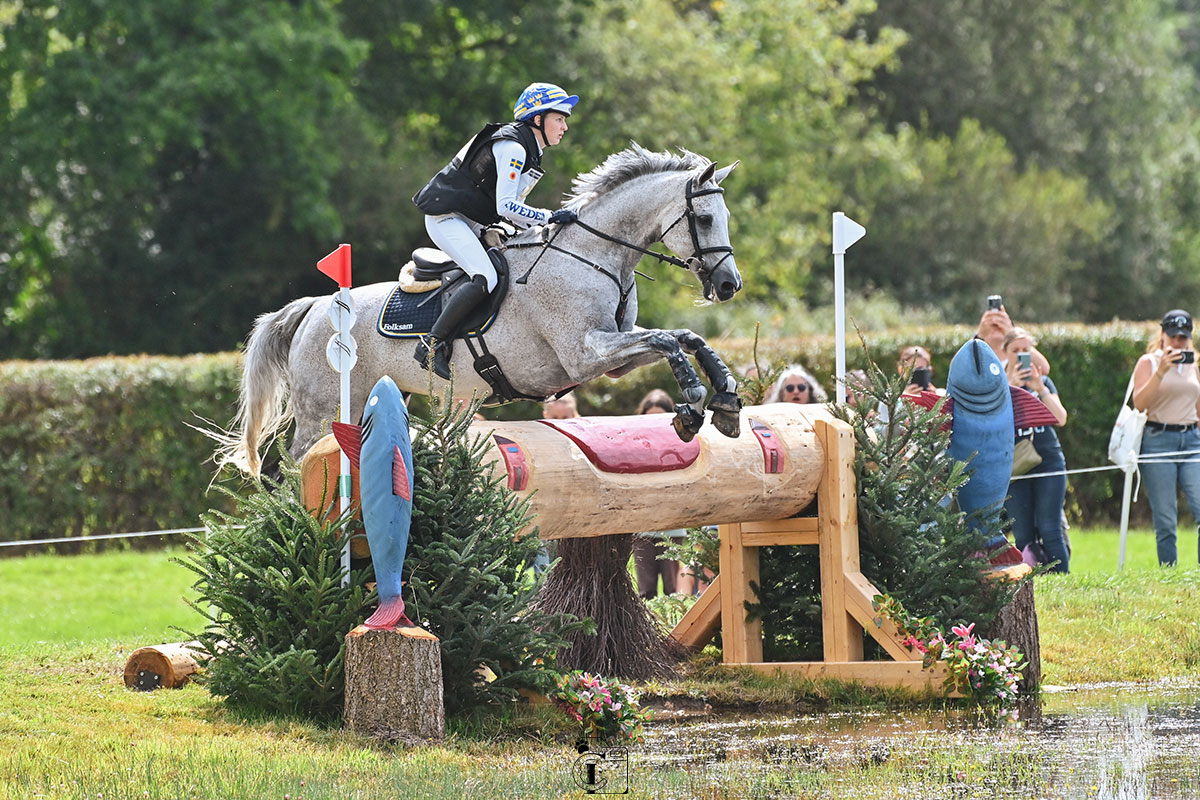 Cavalière suédoise et son cheval gris franchissant un obstacle lors du cross du Lion d'Angers