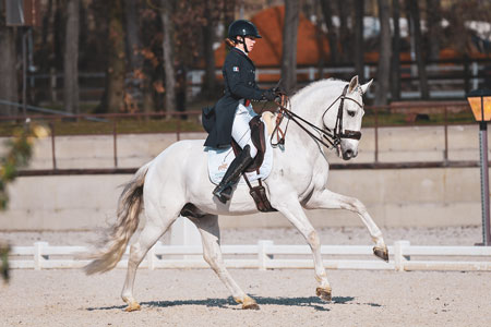 Cavalière et son cheval gris lors d'une reprise de dressage