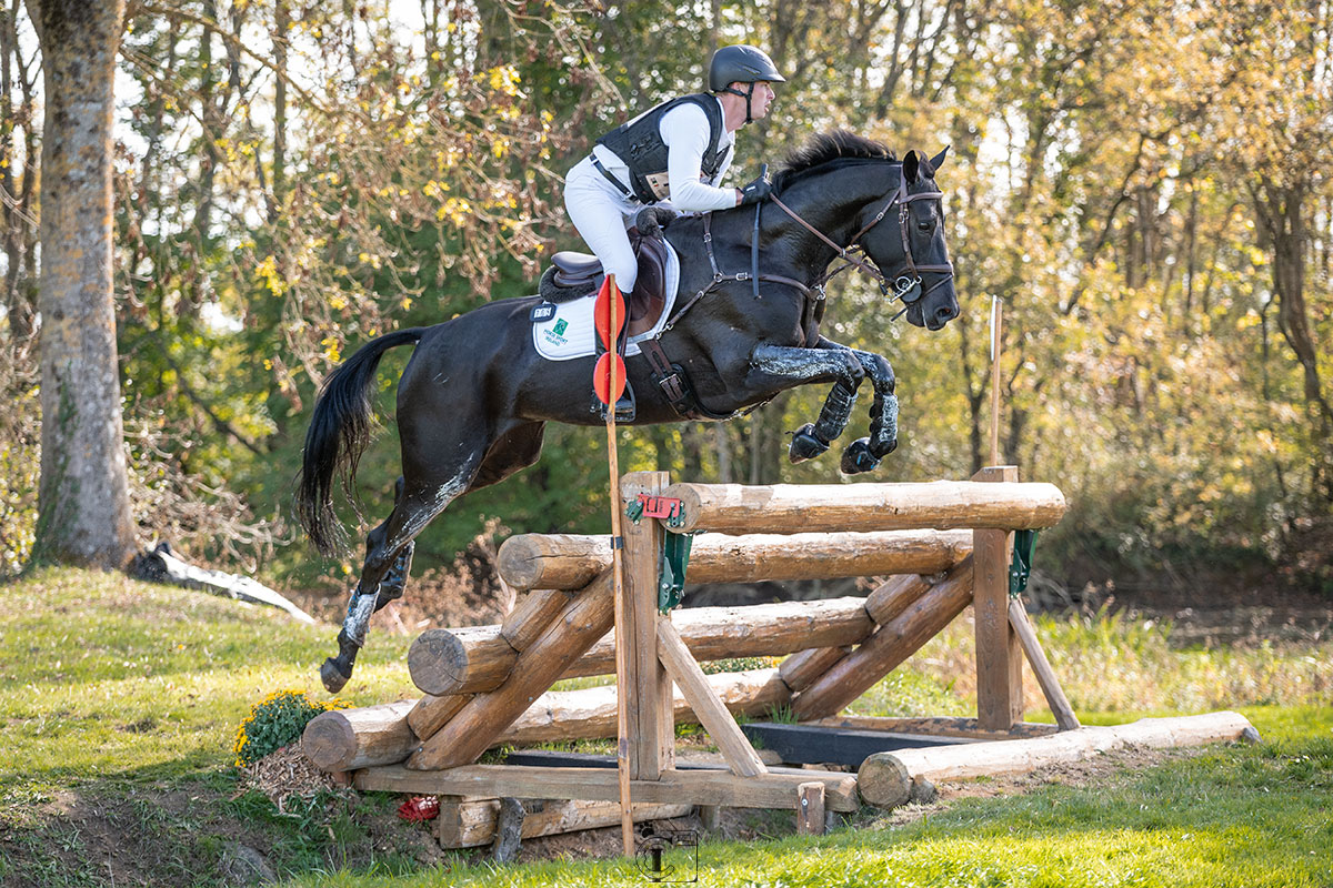 Cheval noir sautant un obstacle en bois au dessus d'un fossé lors d'un cross