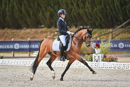 Cavalière et son cheval baie en pleine reprise de dressage au Boulerie Jump