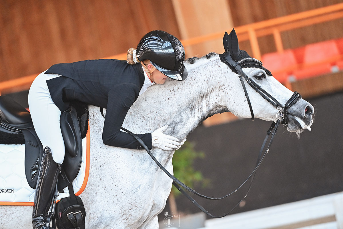 Gros plan sur une cavalière félicitant son cheval gris après une épreuve