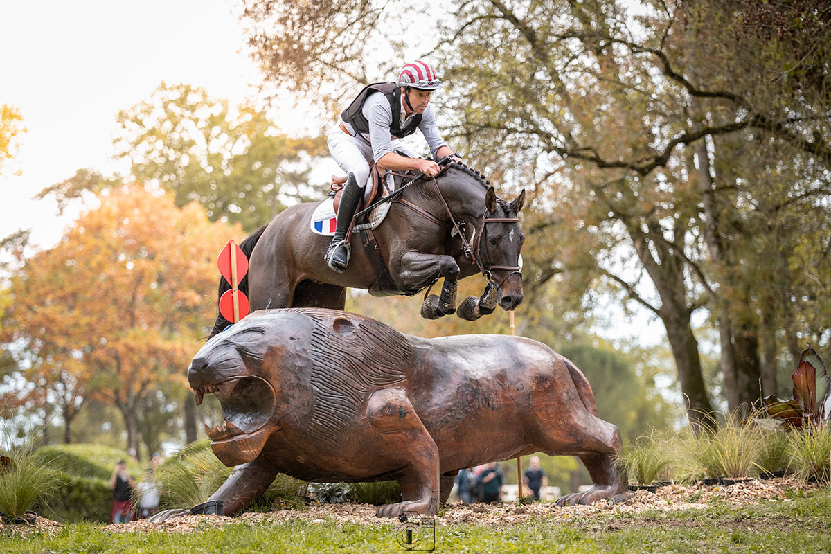 Cavalier français sautant un obstacle représentant un lion lors du cross du Lion d'Angers