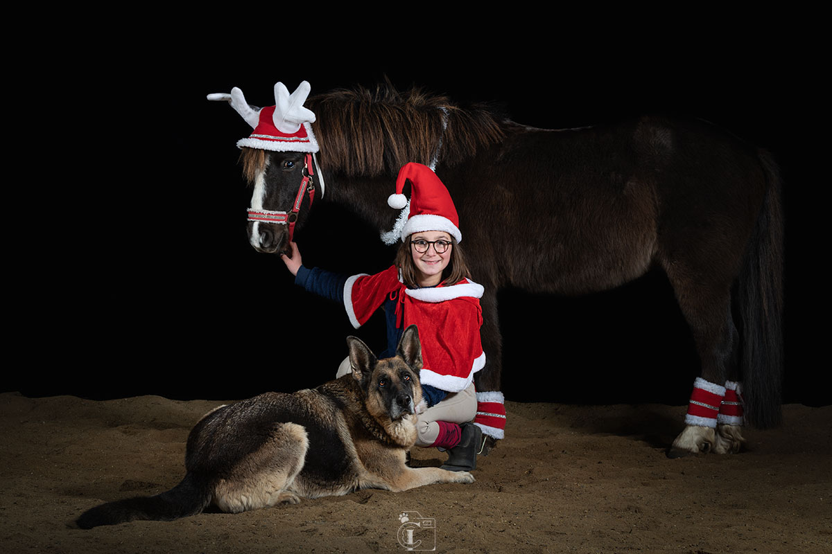 Poney portant un bonnet de noël avec une jeune fille et son chien, fond noir