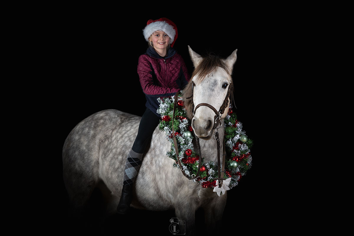 cavalière sur un cheval avec une guirlande de noël sur fond noir